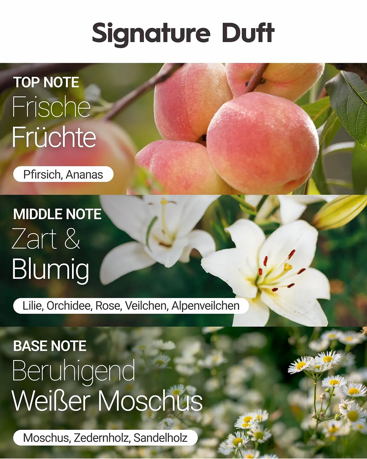 Тканинна маска SNP Halloasis Brightening Hill з екстрактом квітки пустелі для ясної, сяючої та зволоженої шкіри, 10 шт, фото №6