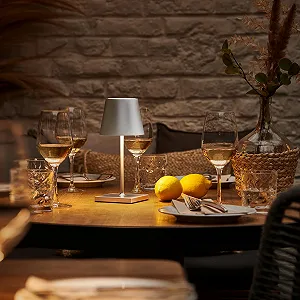 Настільна лампа SIGOR Nuindie 2.0 Mini LED Акумуляторна Димування IP54 Висота 25 см USB-C 12 год роботи Сріблястий synthetic.ua - Фото 1