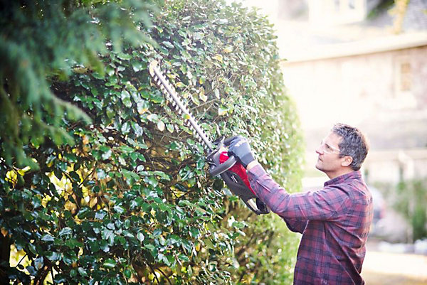 Акумуляторний кущоріз Mountfield MHT 50 Li / 48В / Шина 58см / Поворотна рукоятка / Чорна-Червона, фото №5