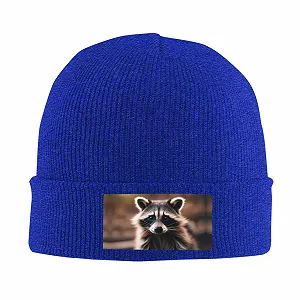 Тепла, затишна, мила шапка-єнот, універсальна зимова synthetic.ua - Фото 1