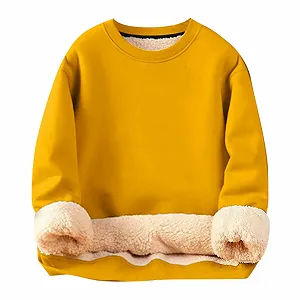 Модные женские свитшоты 2025 однотонные свободного кроя на флисе университетские Y2K милые свитшоты аниме Workou комфортные основные западная мода мягкие - Фото 1