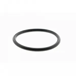 Водяной насос охлаждения двигателя VAICO V20-50012 для BMW VW synthetic.ua - Фото 1