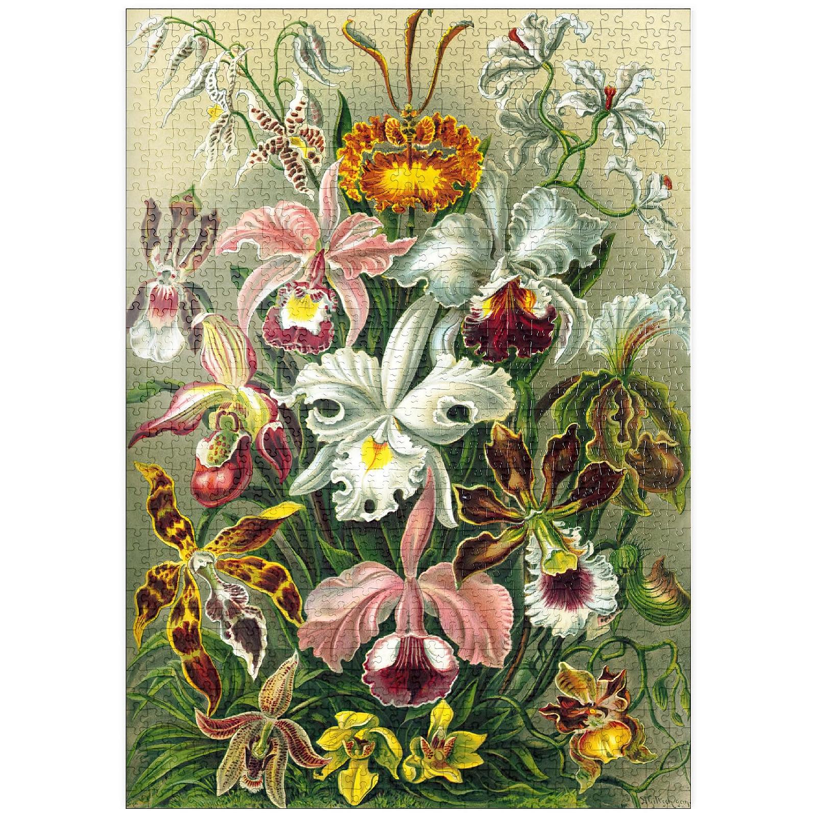 Пазл MyPuzzle Special Collection Orchid - Art Forms of Nature, Vintage Art Poster, Ernst Haeckel 1000 элементов, фото №1