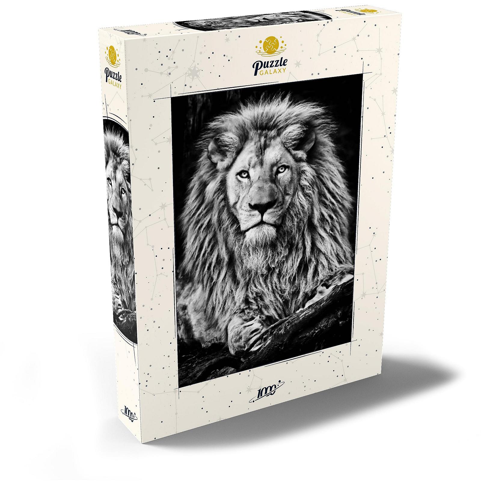 Пазл MyPuzzle Special Collection Черно-белое изображение величественного льва Premium 1000 элементов Черно-белый, фото №2 Пазл MyPuzzle Special Collection Черно-белое изображение величественного льва Premium 1000 элементов Черно-белый, фото №2