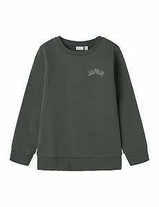 Толстовка NAME IT Nkmkalle LS Sweat Bru Ps - Фото 1
