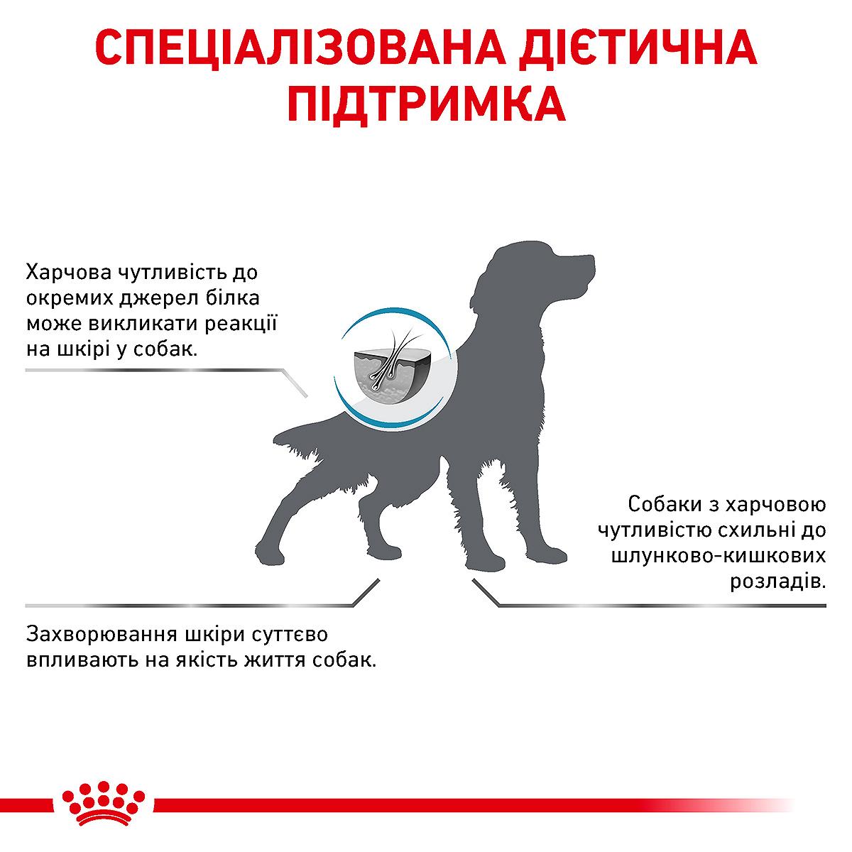 Сухой корм для собак Royal Canin Anallergenic Canine при пищевой аллергии или непереносимости 3 кг 3182550801003 40140301, фото №8
