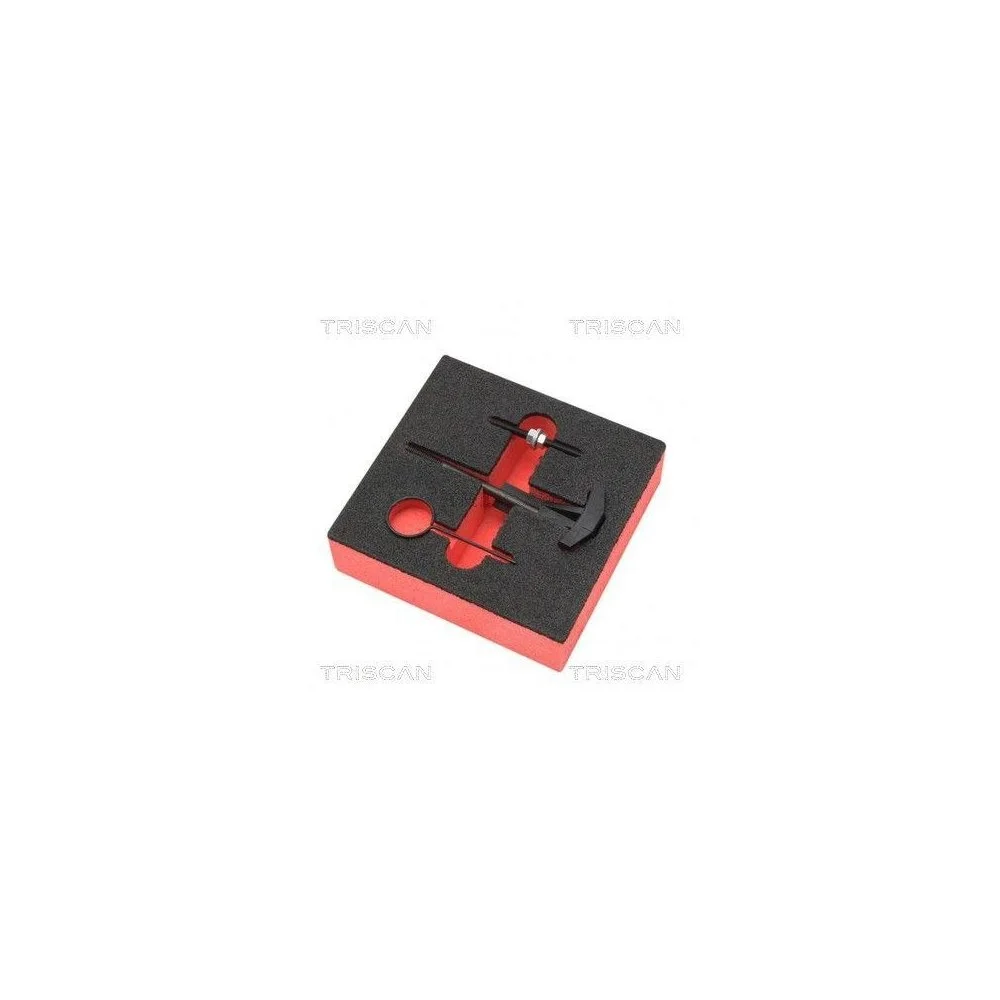 Инструмент TRISCAN 8655 6016 для, фото №1