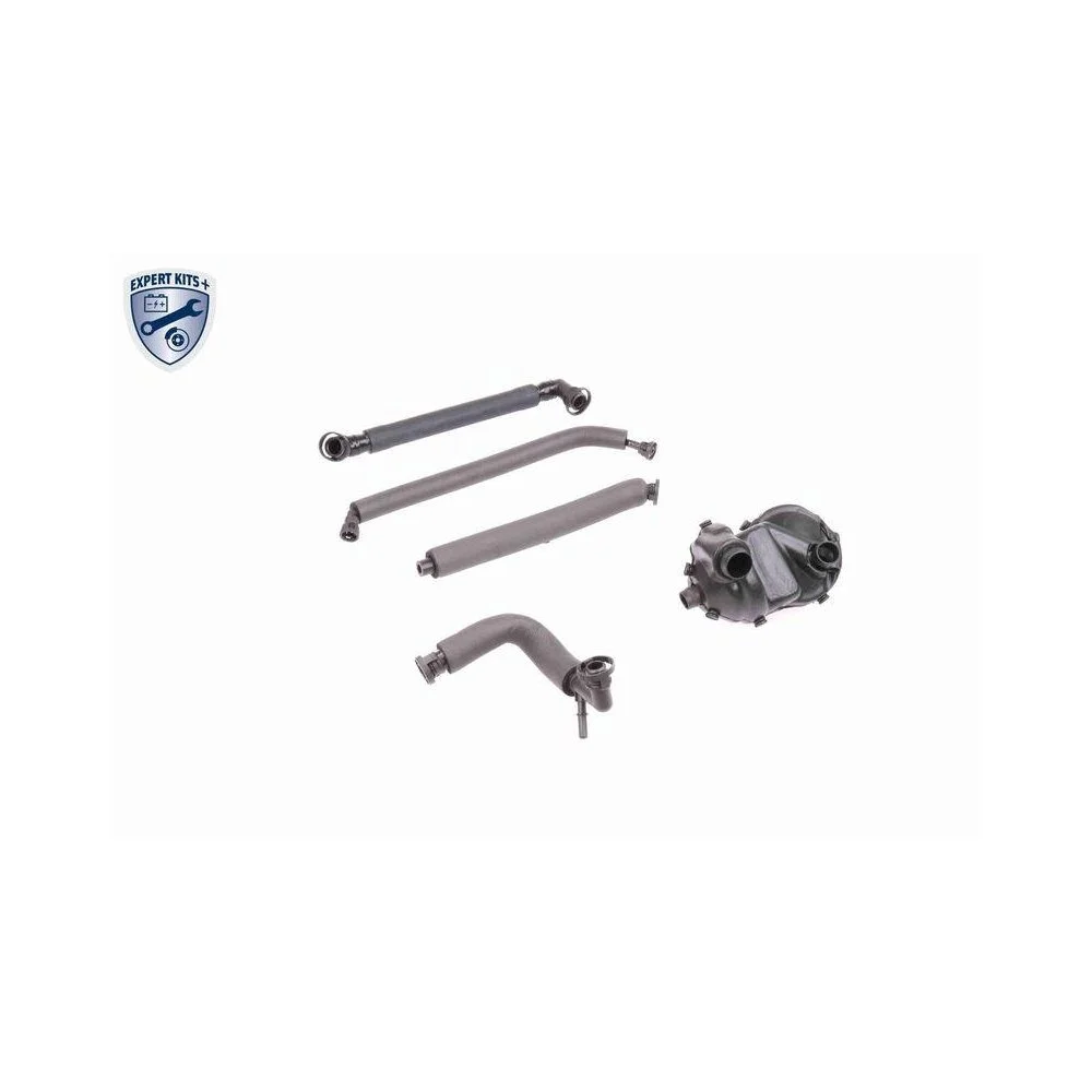 Ремкомплект, вентиляция картера VAICO V20-1872 EXPERT KITS + для BMW FORD, фото №1 Ремкомплект, вентиляция картера VAICO V20-1872 EXPERT KITS + для BMW FORD, фото №1