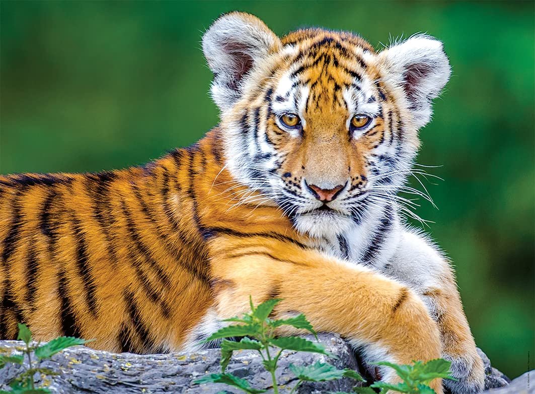 Детский пазл Nathan Tiger Baby 86154 150 элементов с сортировщиком от 7 лет 49 x 36 см, фото №3