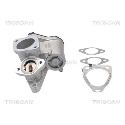 Клапан EGR TRISCAN 8813 25201 для RENAULT SUZUKI, фото №4