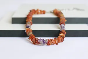 Купити Нашийник від бліх та кліщів Amber Necklace з необробленого балтійського бурштину з аметистом (40-45 см) - Фото 1 Нашийник від бліх та кліщів Amber Necklace з необробленого балтійського бурштину з аметистом (40-45 см) - Фото 1
