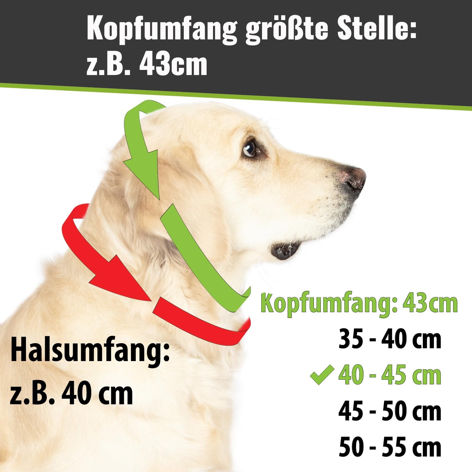 Кожаный ошейник CopcoPet 35-40 см x 20 мм плетеный с рывковой цепью Коньячный, фото №5 Кожаный ошейник CopcoPet 35-40 см x 20 мм плетеный с рывковой цепью Коньячный, фото №5