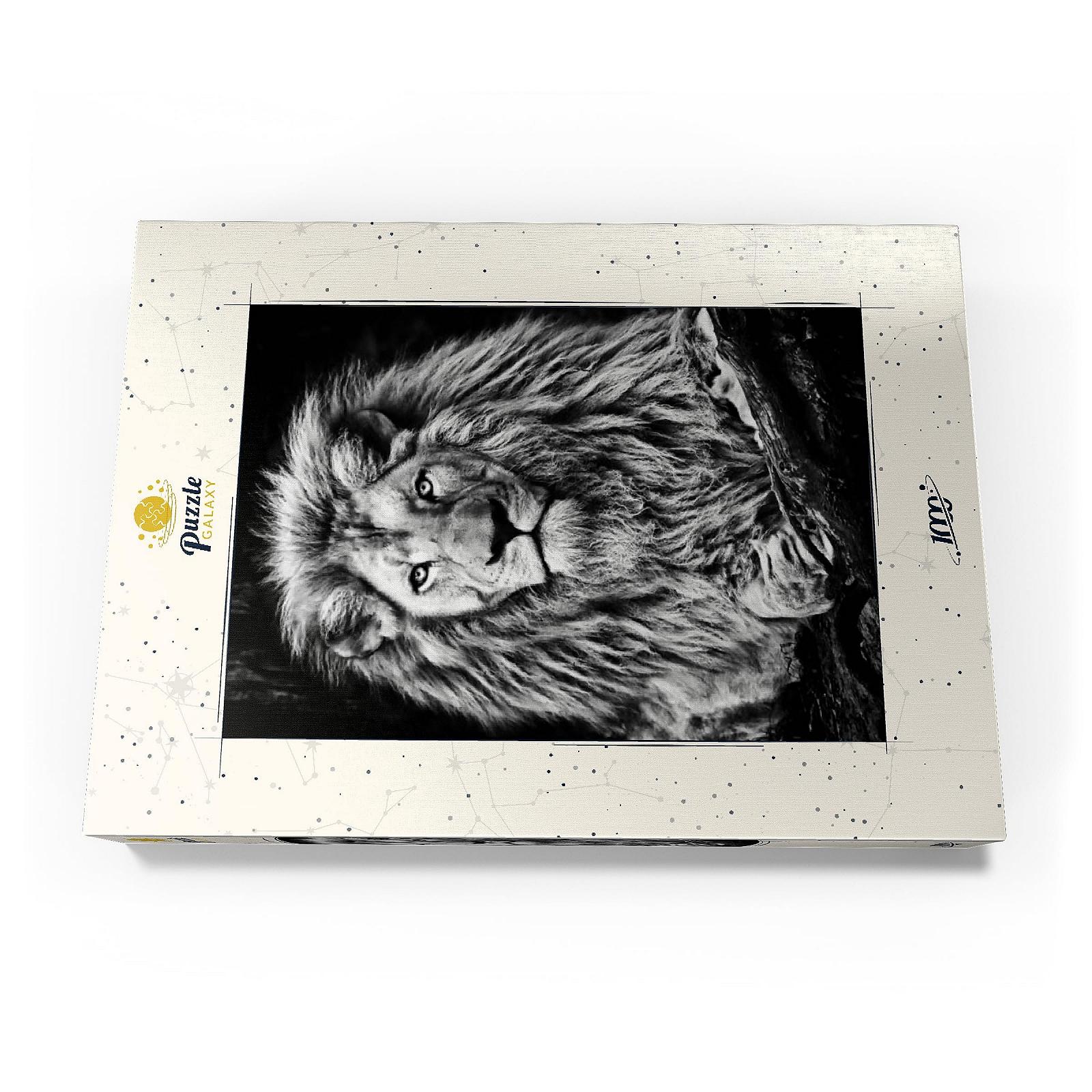 Пазл MyPuzzle Special Collection Черно-белое изображение величественного льва Premium 1000 элементов Черно-белый, фото №4 Пазл MyPuzzle Special Collection Черно-белое изображение величественного льва Premium 1000 элементов Черно-белый, фото №4