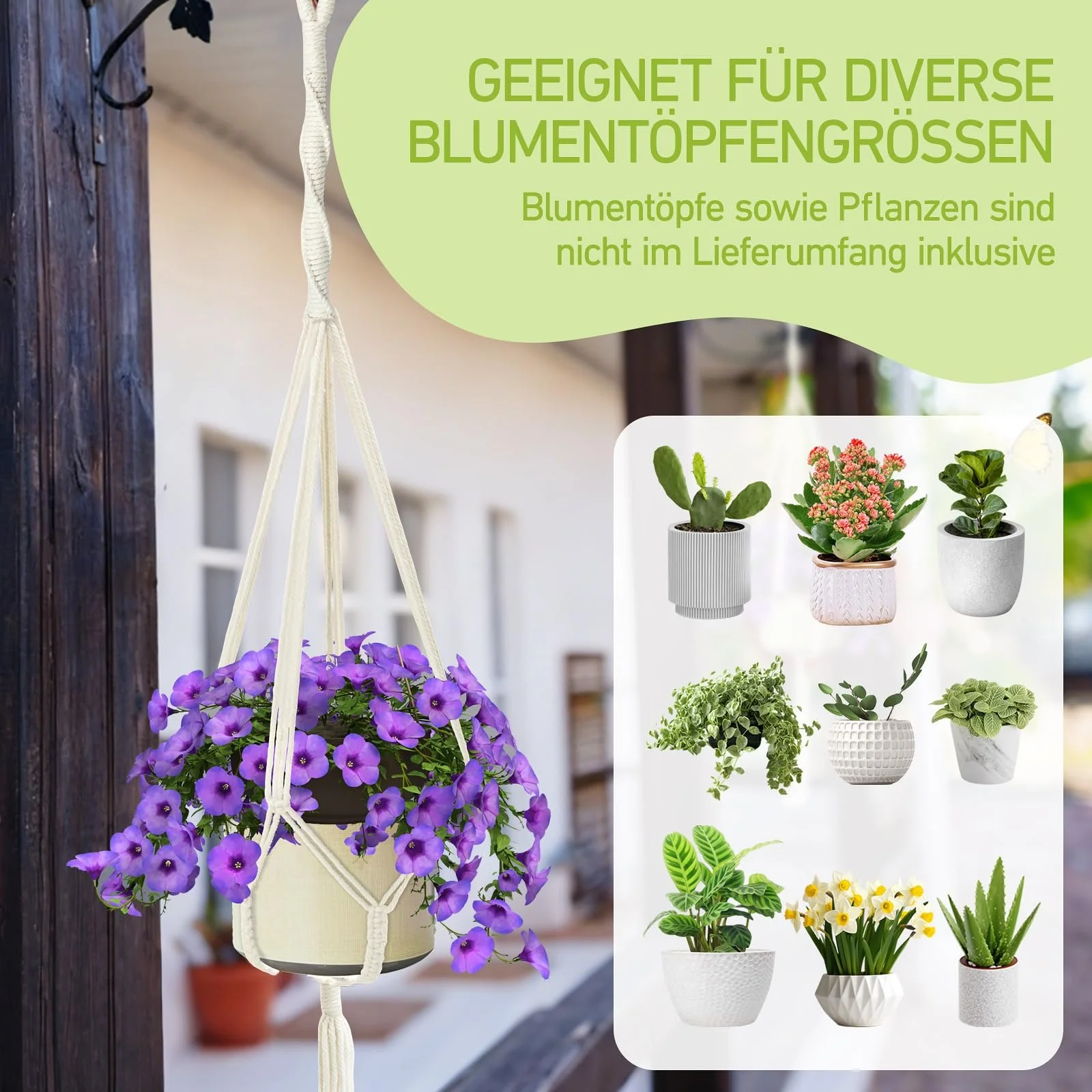 Підвісні кошики макраме з бавовняного каната в стилі бохо з гачками набір із 4 шт. білі, фото №4 Підвісні кошики макраме з бавовняного каната в стилі бохо з гачками набір із 4 шт. білі, фото №4