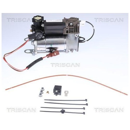 Компрессор пневмосистемы TRISCAN 8725 29101 для AUDI, фото №2