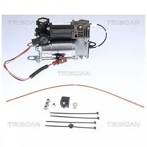 Компресор пневмосистеми TRISCAN 8725 29101 для AUDI synthetic.ua - Фото 1