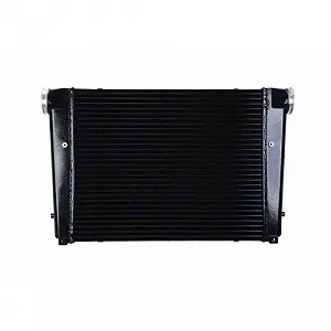 Интеркулер HELLA 8ML 366 340-031 для MAN SOLARIS synthetic.ua - Фото 1