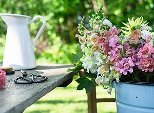 Пазл Ravensburger Landlust 12001634 Summer Colourful Snapdragons 500 деталей ціна на synthetic.ua - Фото 1 Пазл Ravensburger Landlust 12001634 Summer Colourful Snapdragons 500 деталей synthetic.ua - Фото 1