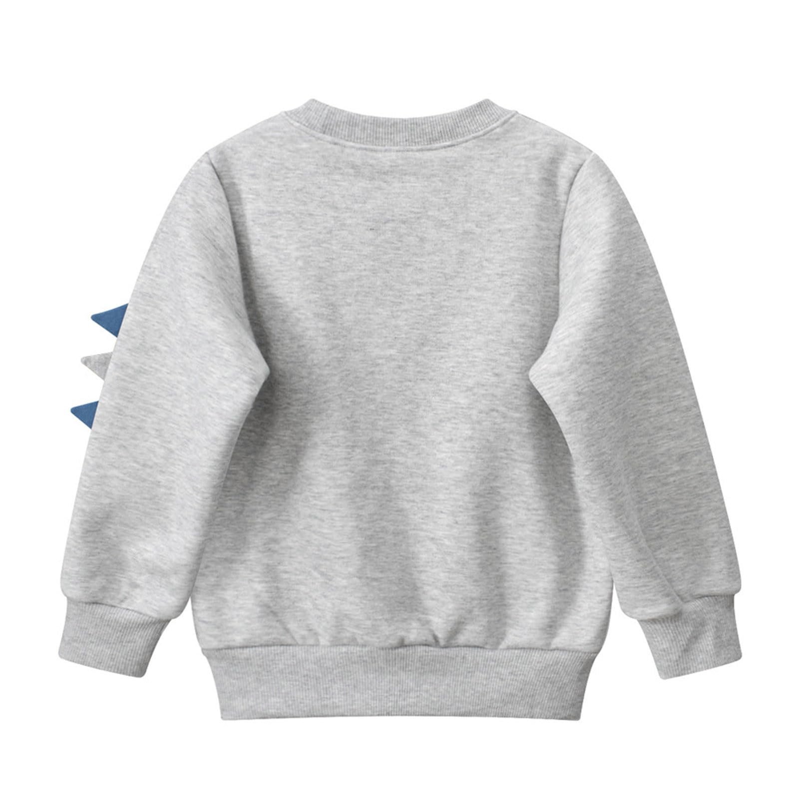 Худи Dino Print для мальчиков с флисовой подкладкой, длинный рукав, фото №2