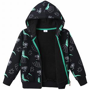 Худі Dinopjs для хлопчиків, флісова спортивна куртка synthetic.ua - Фото 1