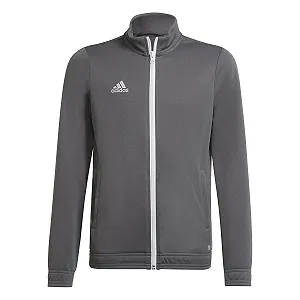 Світшот adidas Entrada 22 Representation, дитячий, унісекс - Фото 1