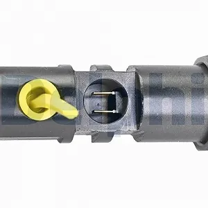 Форсунка паливна DELPHI R00701D-12B1 для FORD JAGUAR CASE IH synthetic.ua - Фото 1