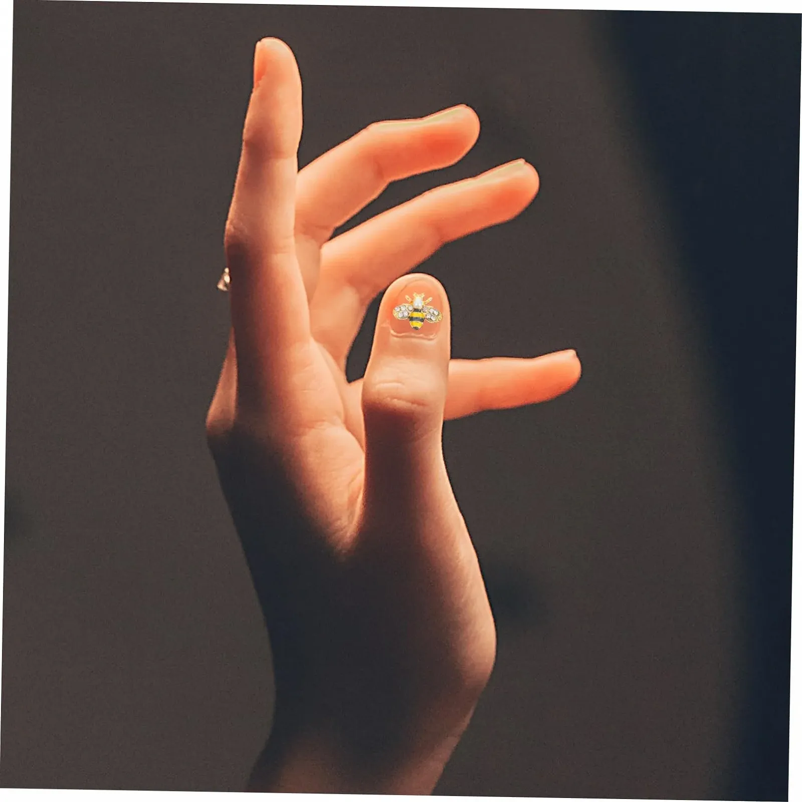 Прикраса для нігтів Форми бджілки 3D, 2 набори, фото №9