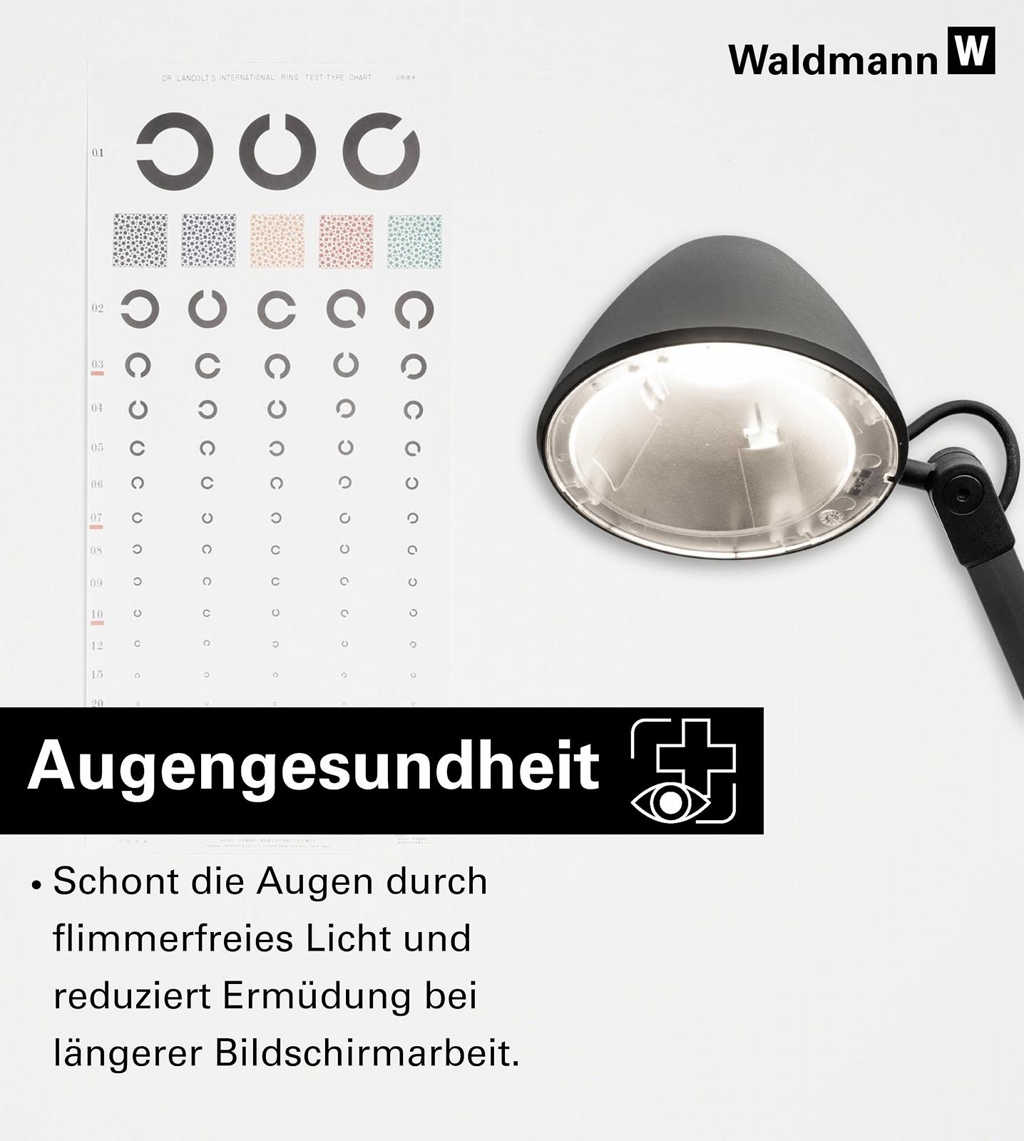 Настільна лампа Waldmann Lucio Home LED 4000 K (Limited Edition), фото №5