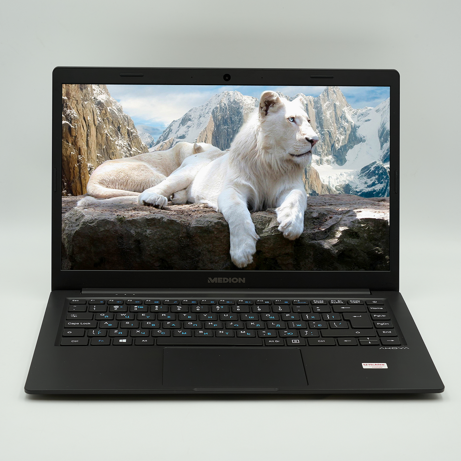 Ноутбук Medion AKOYA E4251 Intel Pentium N5030 8 ГБ ОЗУ 128 ГБ SSD Intel UHD Graphics Металл Б/У Win10 14", фото №1