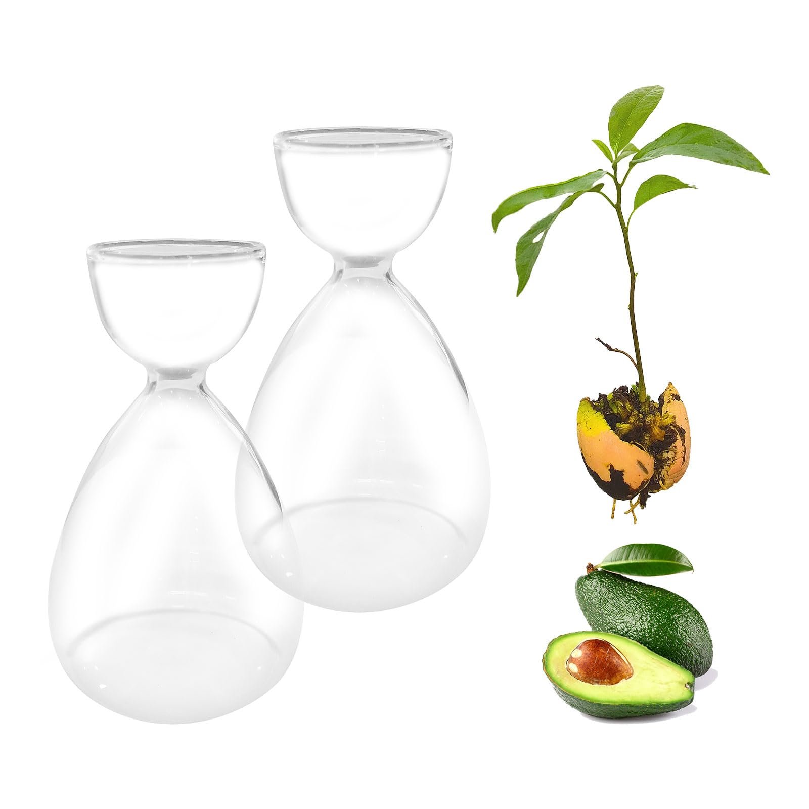 Ваза для авокадо JOJOCY Скляна 2 шт., фото №1