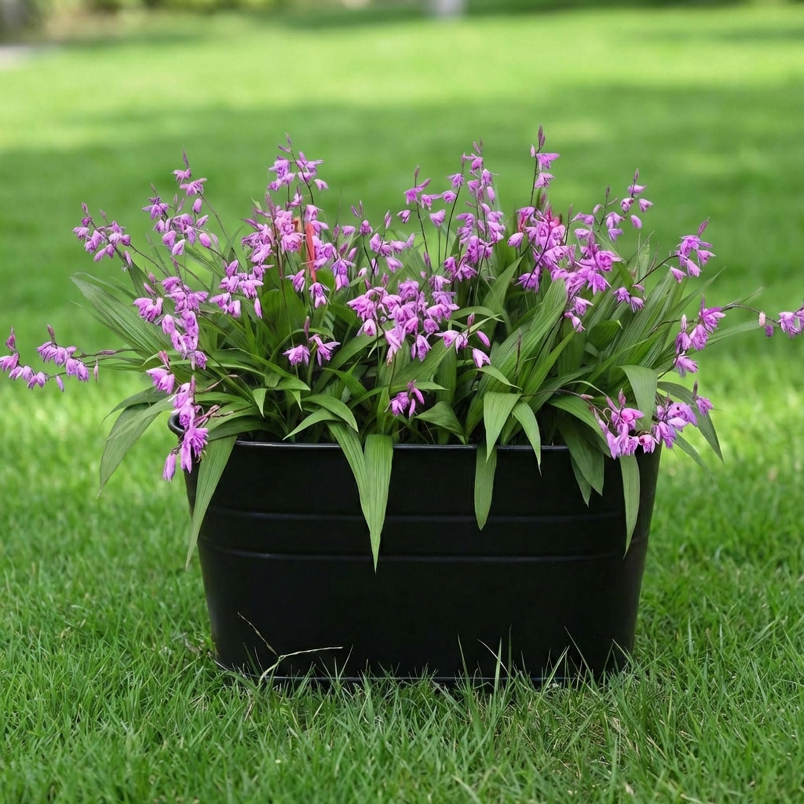 Підвісний квітковий горщик Atoke 27.5 см металевий з гачками Різнокольоровий, фото №7 Підвісний квітковий горщик Atoke 27.5 см металевий з гачками Різнокольоровий, фото №7