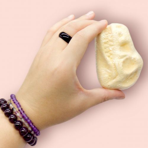 Раскопки Мир динозавров микс видов [tsi244144-TSI], фото №2