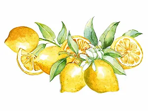 Наклейка на стіну GRAZDesign Lemons Середземноморська для кухні та їдальні 89 x 50 см - Фото 1