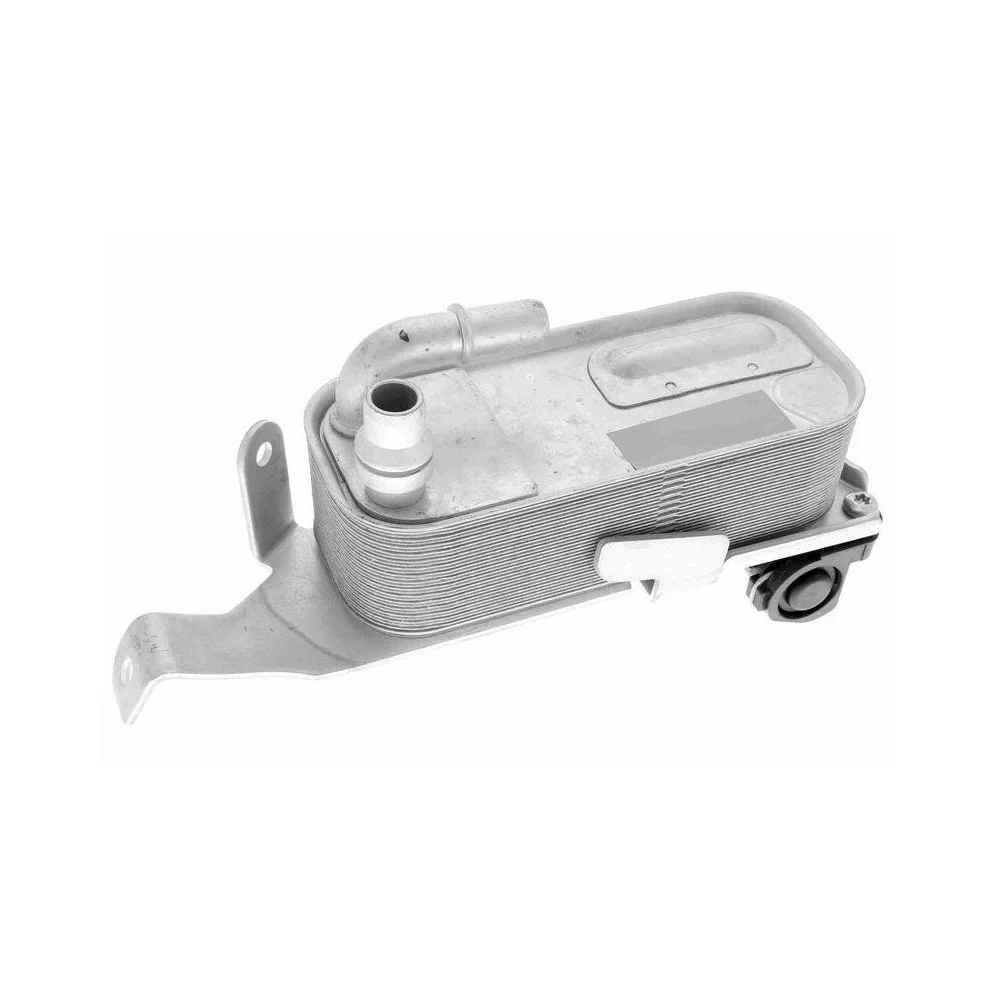 Радиатор масляный двигателя VEMO V20-60-0053 для BMW, фото №1 Радиатор масляный двигателя VEMO V20-60-0053 для BMW, фото №1