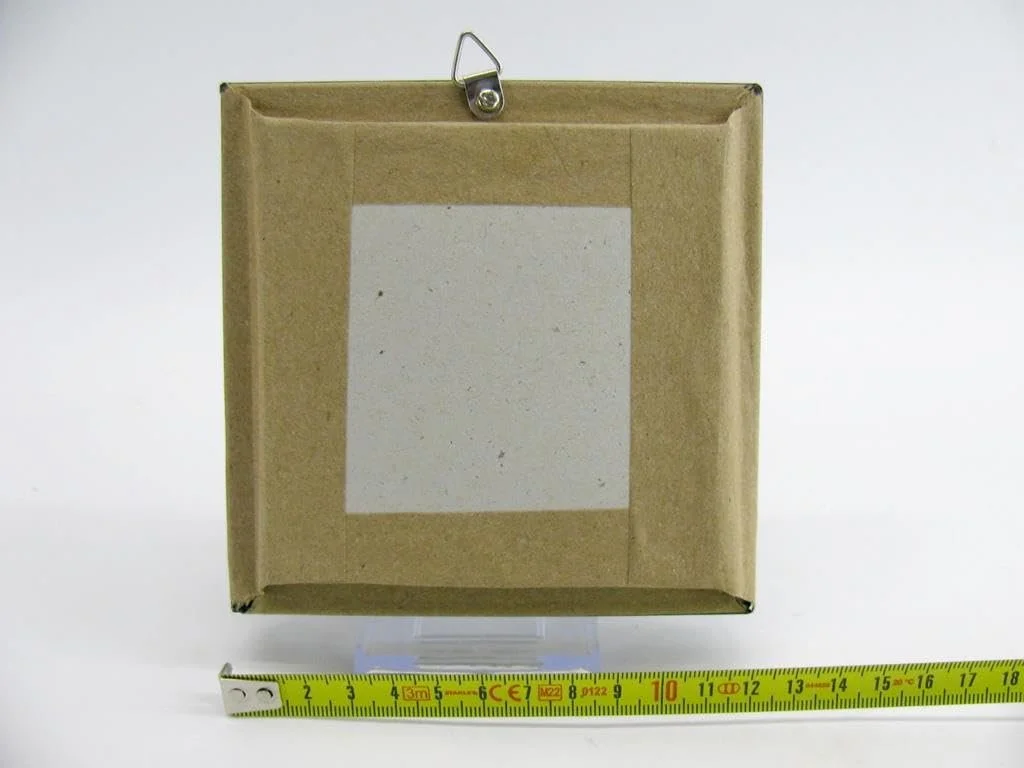 Настінна картина у вітрині Справжній метелик Common Mormon 12 x 12 x 2 см, фото №7 Настінна картина у вітрині Справжній метелик Common Mormon 12 x 12 x 2 см, фото №7