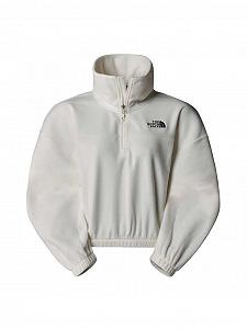 Женская флисовая кофта THE NORTH FACE W 100 Glacier Half Zip - Фото 1