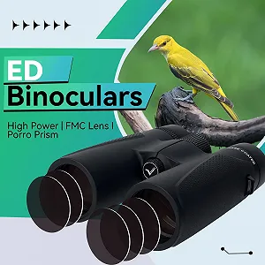 Бінокль Svbony SV202 8x42 synthetic.ua - Фото 1