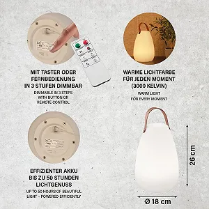 Настільна лампа вулична FHL easy! Ruby 1 x LED 1 Вт + 1 Вт RGB 3000 К 55 лм біла димована пульт дистанційного керування synthetic.ua - Фото 1