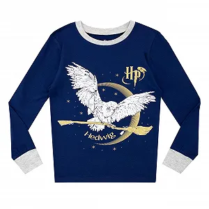 Пижама Harry Potter Hedwig Slim Fit для девочек цена на synthetic.ua - Фото 1 Пижама Harry Potter Hedwig Slim Fit для девочек synthetic.ua - Фото 1
