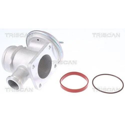 Клапан EGR TRISCAN 8813 11004 для BMW LAND ROVER, фото №2
