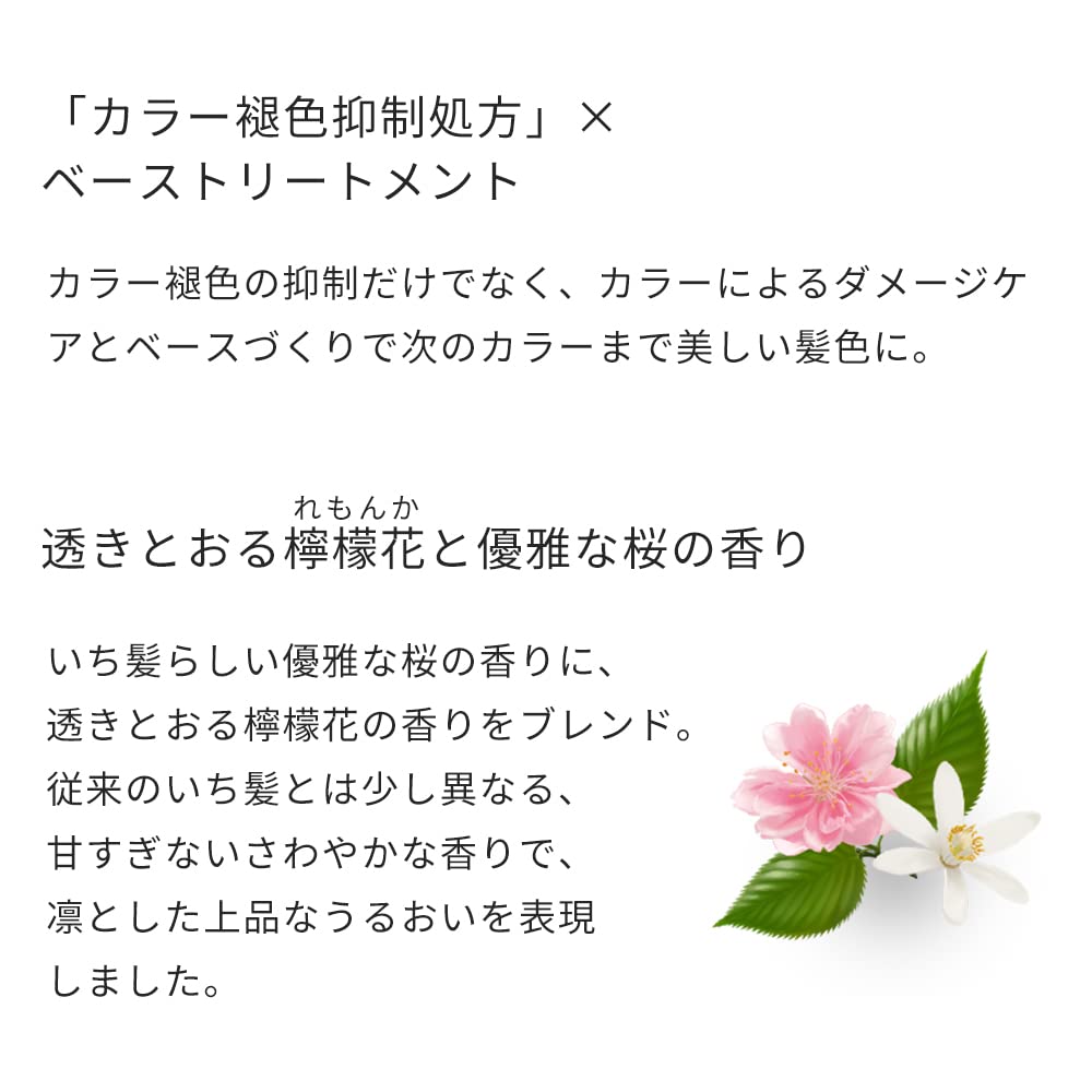 Шампунь Ichikami Color Care & Base Treatment 330 мл Refill Несмываемая Стойкость цвета, фото №6 Шампунь Ichikami Color Care & Base Treatment 330 мл Refill Несмываемая Стойкость цвета, фото №6