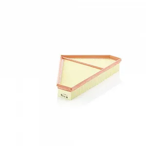 Воздушный фильтр MANN-FILTER C 36 009 для JAGUAR, правый - Фото 1