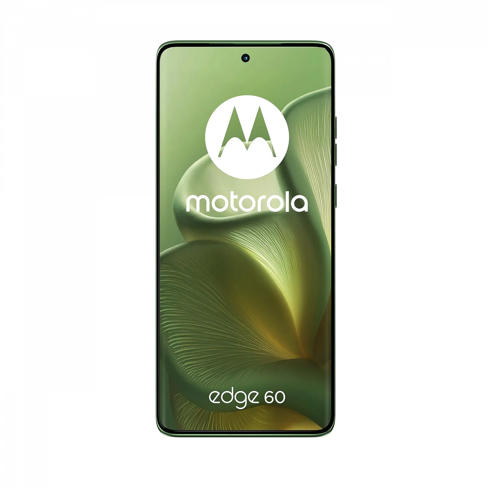 Смартфон Motorola Edge 60 8/512 GB 6,67" POLED 120 Hz Shamrock, фото №2 Смартфон Motorola Edge 60 8/512 GB 6,67" POLED 120 Hz Shamrock, фото №2