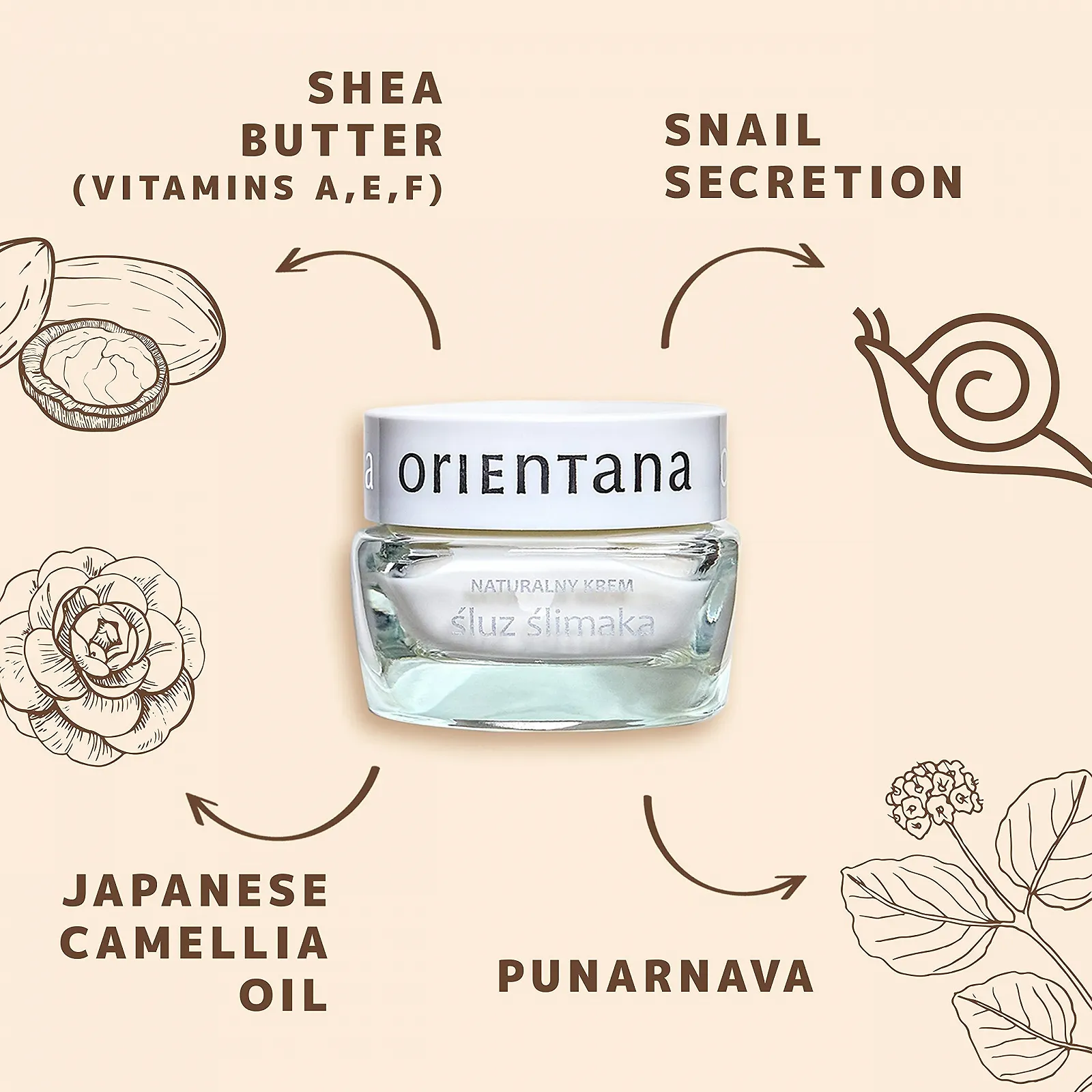 Денний/нічний крем Natural Snail Cream з муцином равлика, фото №6 Денний/нічний крем Natural Snail Cream з муцином равлика, фото №6
