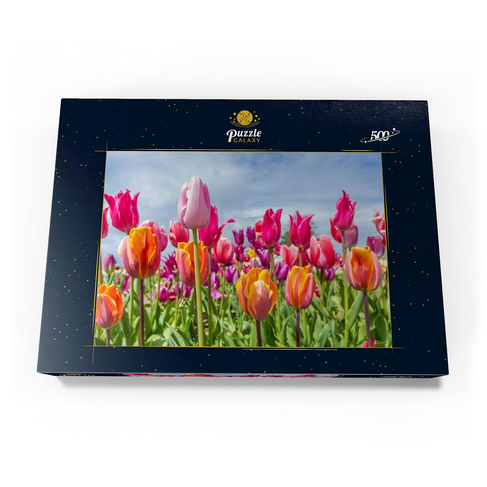 Пазл MyPuzzle Special Collection by Puzzle Galaxy Orange Yellow Tulip Field 500 элементов, фото №4