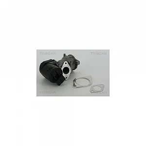 Клапан EGR TRISCAN 8813 10001 для CITROËN FIAT FORD LANCIA PEUGEOT VOLVO - Фото 1