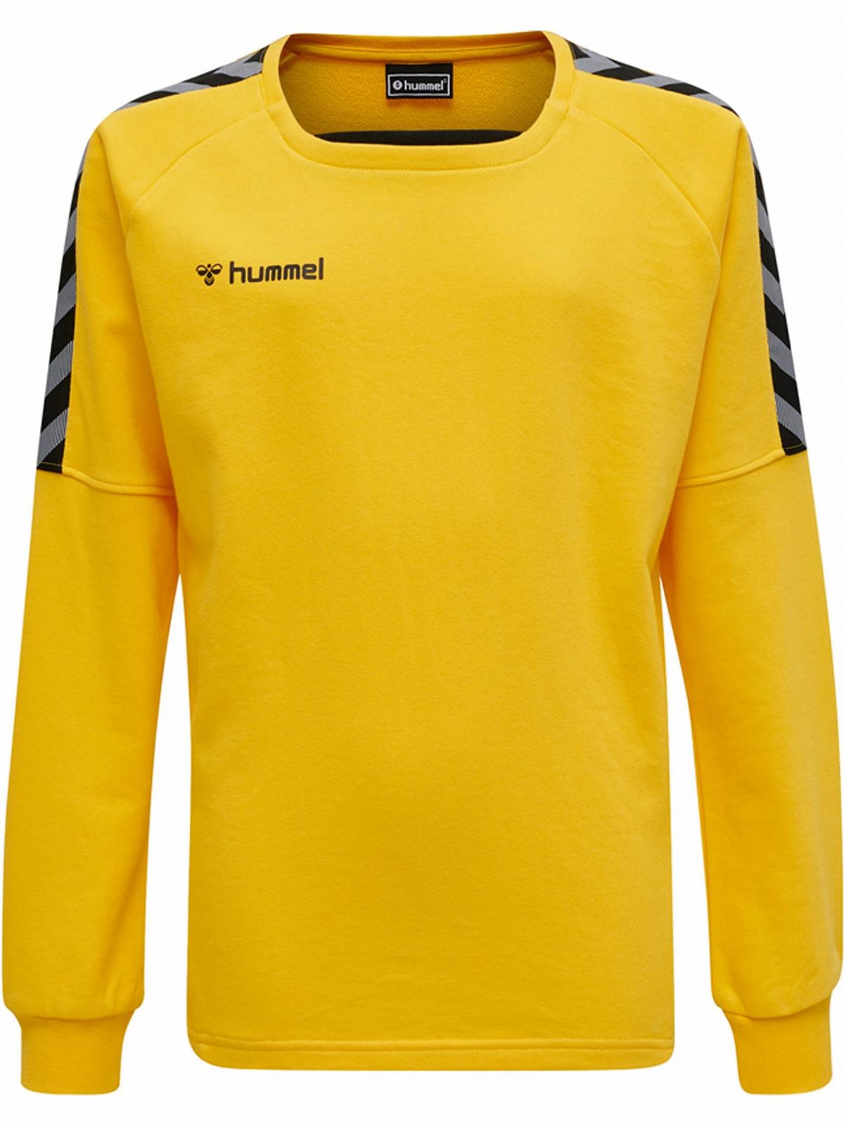 Тренировочный свитшот для мальчиков Hummel Authentic Kids Training Sweat, фото №1
