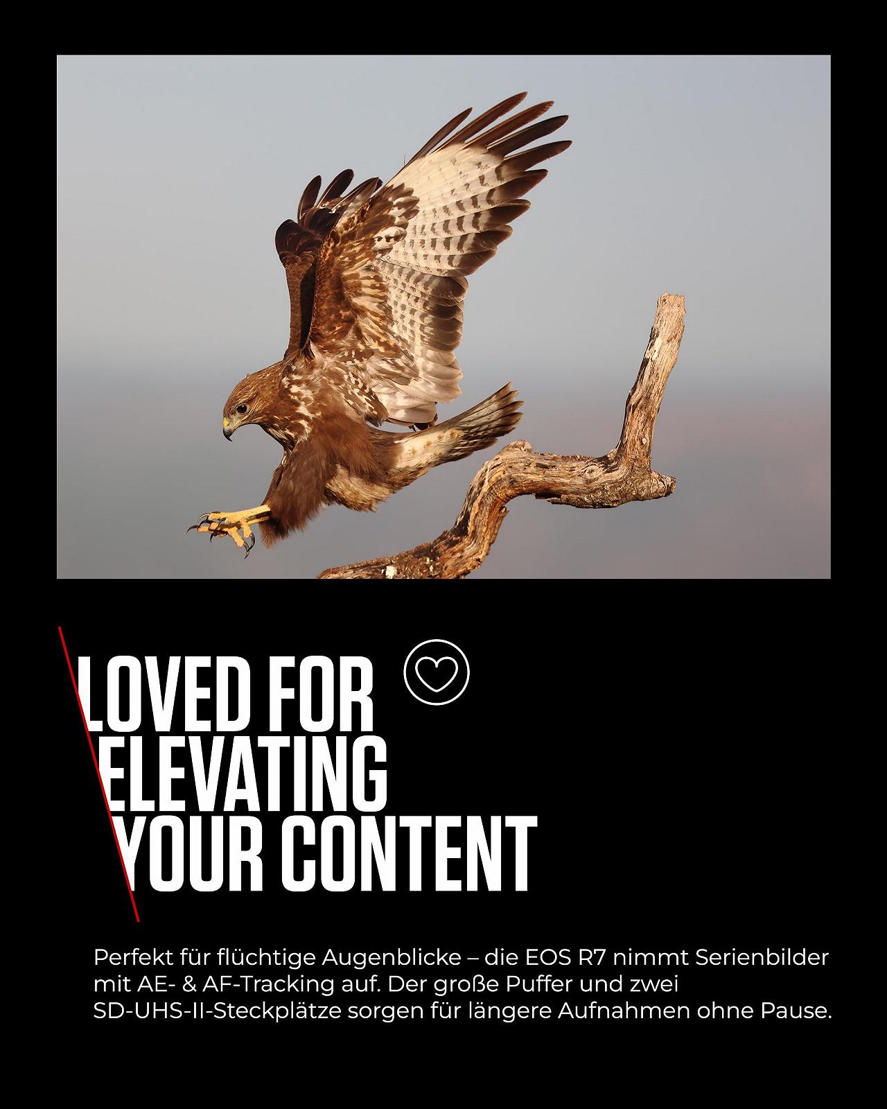 Беззеркальная камера Canon EOS R7 + Объектив RF-S 18-150 мм F3.5-6.3 IS STM (обновление DSLR, гибридная камера, видеозапись 4K/30p, до 15 кадров/с, WiFi) Черный, фото №4 Беззеркальная камера Canon EOS R7 + Объектив RF-S 18-150 мм F3.5-6.3 IS STM (обновление DSLR, гибридная камера, видеозапись 4K/30p, до 15 кадров/с, WiFi) Черный, фото №4