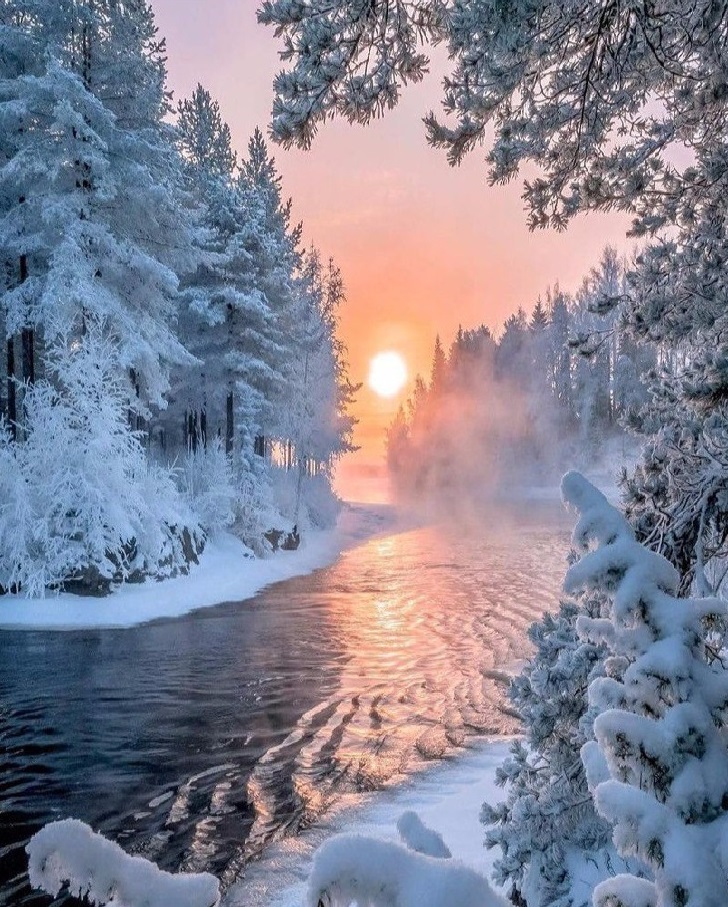 TN636 Набір алмазної мозаїки на підрамнику Тиша зимового лісу, фото №1 TN636 Набір алмазної мозаїки на підрамнику Тиша зимового лісу, фото №1