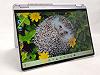 Ноутбук 14" Lenovo IdeaPad Flex 5 14ALC7 AMD Ryzen 5 5500U RAM 8GB SSD 512GB 10год батарея Win11 Алюмінієвий корпус (UKR) Уцінка Ноутбук 14" Lenovo IdeaPad Flex 5 14ALC7 AMD Ryzen 5 5500U RAM 8GB SSD 512GB 10год батарея Win11 Алюмінієвий корпус (UKR) Уцінка